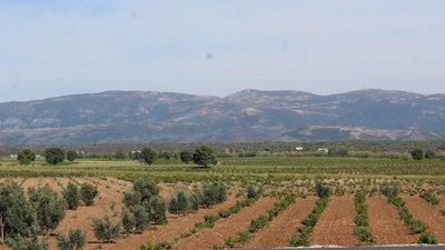 Mardin'de 3 hudut karakoluna saldırı: 2 asker yaralı