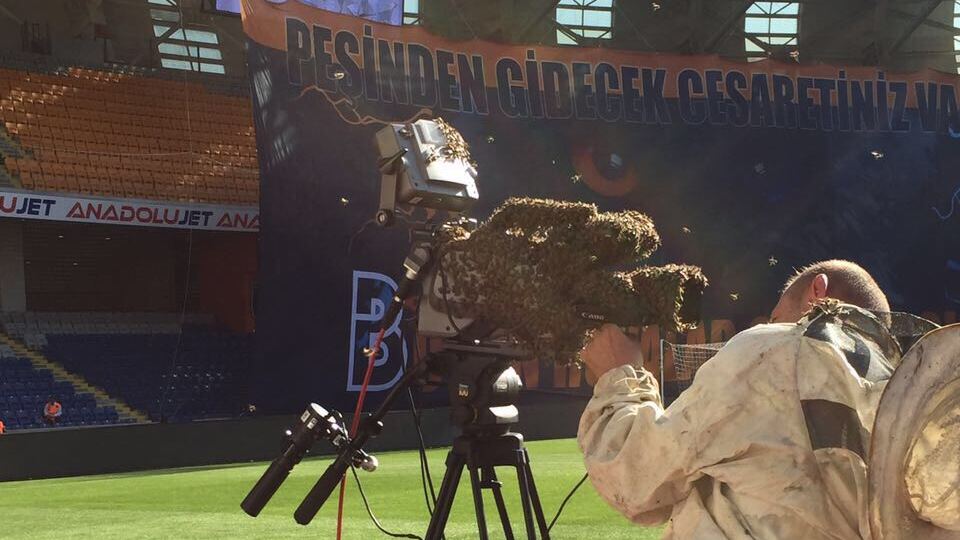 Başakşehir'i arılar bastı!