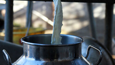 Süt satışıyla ilgili çok önemli düzenleme!