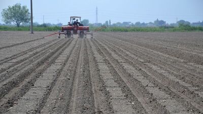 17 yıl sonra ekimine yeniden başlandı