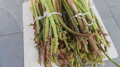 Kanser düşmanı uçkunun faydası saymakla bitmiyor!