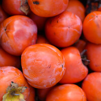 Her gün yediği yiyecek midesinde bu hale geldi!