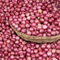 Fiyatını gören bir adım geri gidiyor