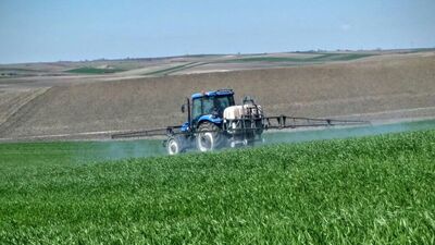 Korkutan istatistik! Her yıl azalıyor