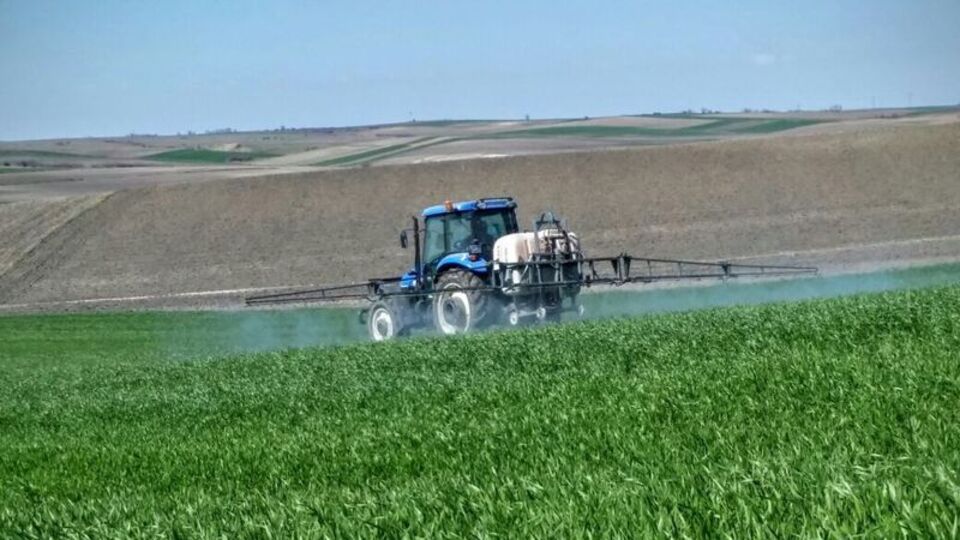 Korkutan istatistik! Her yıl azalıyor