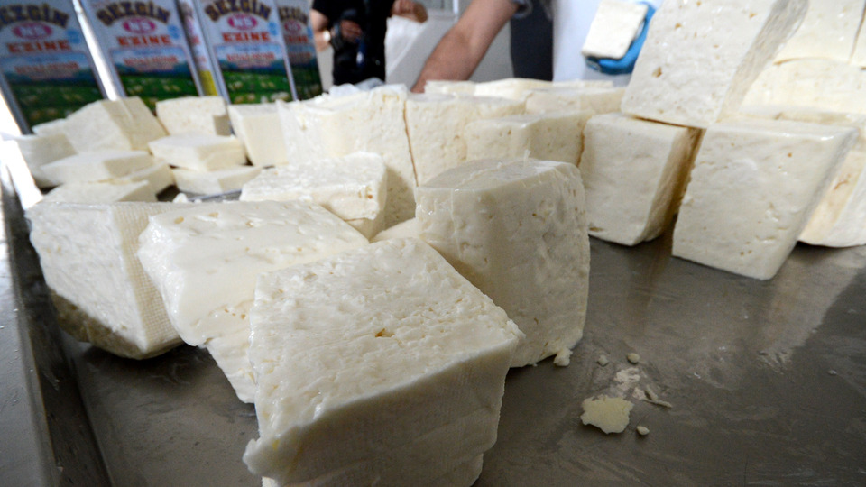 Ezine peyniri Yunan Feta'ya karşı