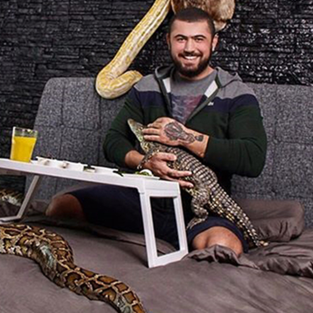 Çerkez Cengiz'in pitonu ve timsahı için harekete geçildi!