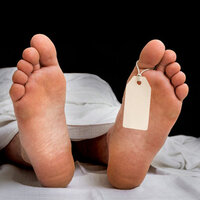 Kene 485 kişiyi öldürdü!