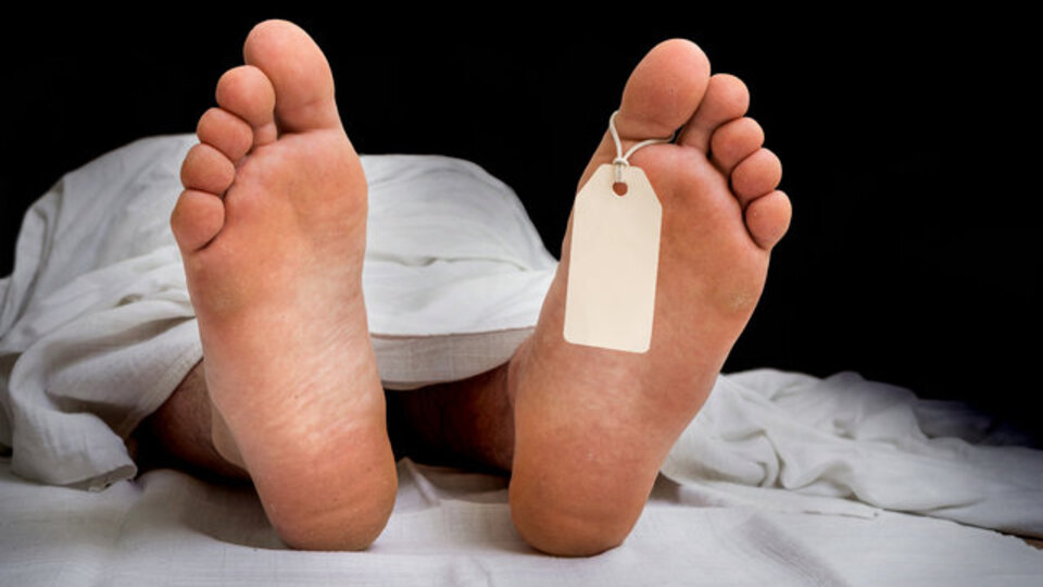 Kene 485 kişiyi öldürdü!