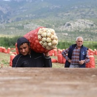 "Patates düşerse soğan da düşüyor"