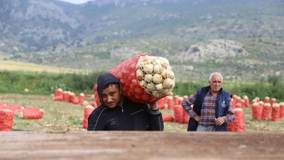 "Patates düşerse soğan da düşüyor"