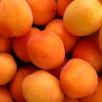 Rusya ile ihracat devam ediyor