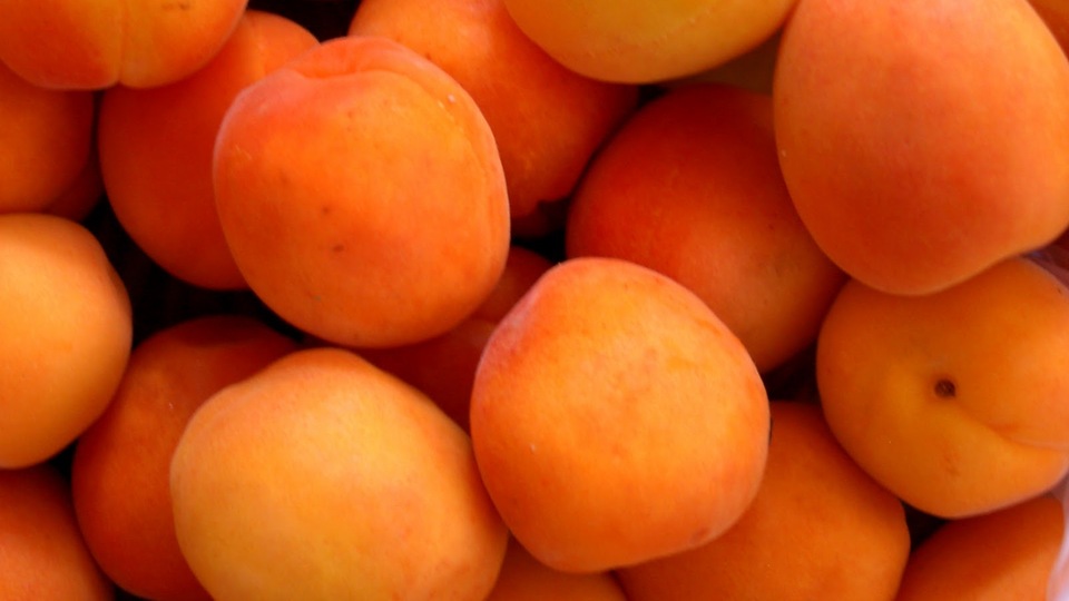 Rusya ile ihracat devam ediyor