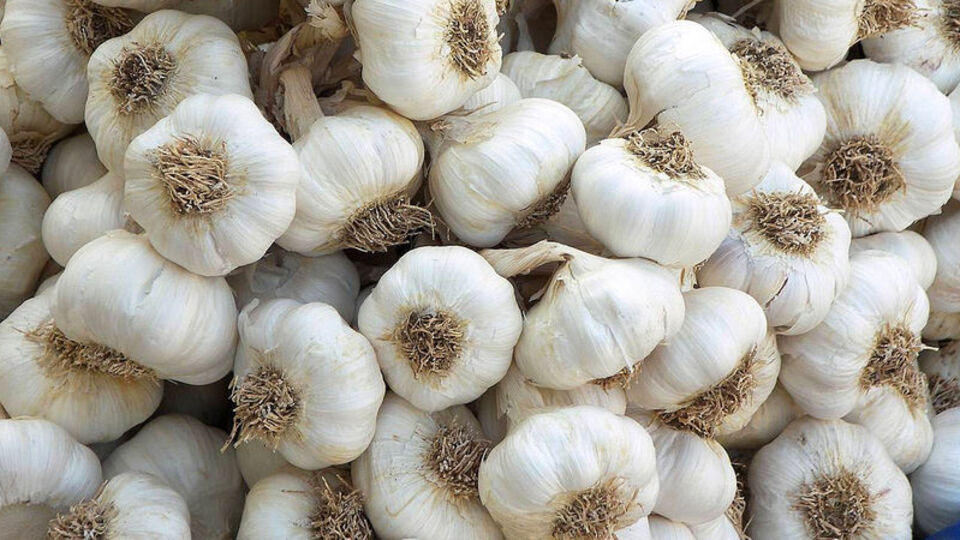 Sarımsağın bu faydalarını biliyor musunuz?