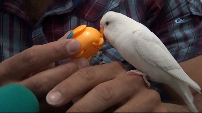 'İhlas Suresi'ni kesintisiz okuyabiliyor!