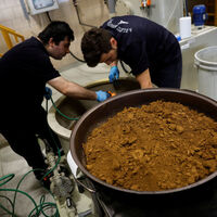 Toprak gibi görünüyor ama aslında...