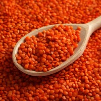 İnanılmaz oran: Yüzde 175