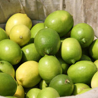 İşte limon mucizesi...