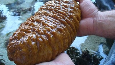 Bunun yüzünden tutuklandılar!