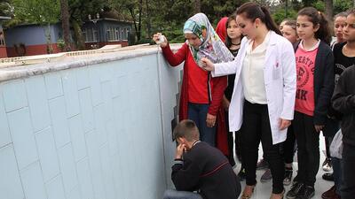 Havuz problemini 'havuzda' çözüyorlar