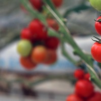 Türkiye'ye bir kötü haber daha