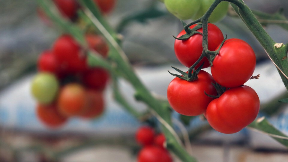 Türkiye'ye bir kötü haber daha