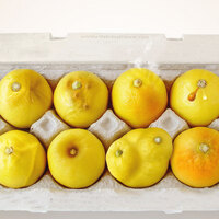 Limonlarınızı bilin!