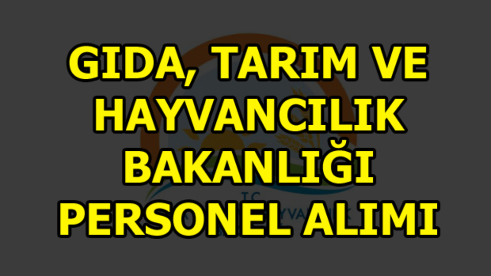 Bakan Faruk Çelik, personel alımı müjdesini verdi