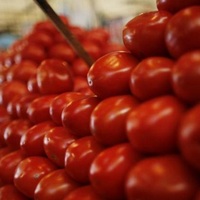 Bakanlıktan domates ihracatı açıklaması