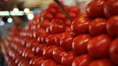 Bakanlıktan domates ihracatı açıklaması