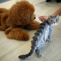 O tasarı Meclis gündemine tekrar geliyor!