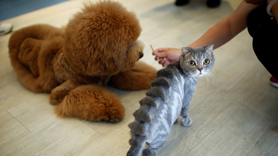 O tasarı Meclis gündemine tekrar geliyor!