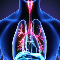 O sigaralardan sonra kanser patladı!