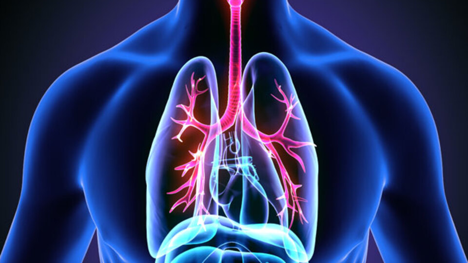 O sigaralardan sonra kanser patladı!