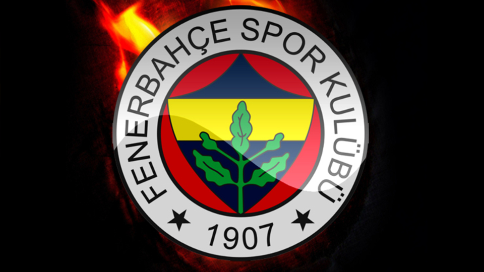 F.Bahçe'ye iki Fildişili birden