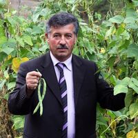 Bu fasulyenin fiyatı 20 TL