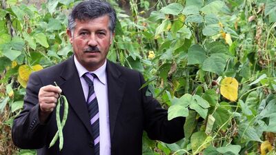 Bu fasulyenin fiyatı 20 TL