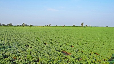 İşte Ramazan'da fiyatı en çok artacak ve düşecek ürünler