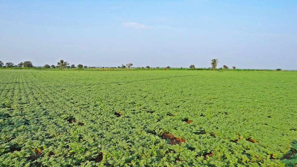 İşte Ramazan'da fiyatı en çok artacak ve düşecek ürünler