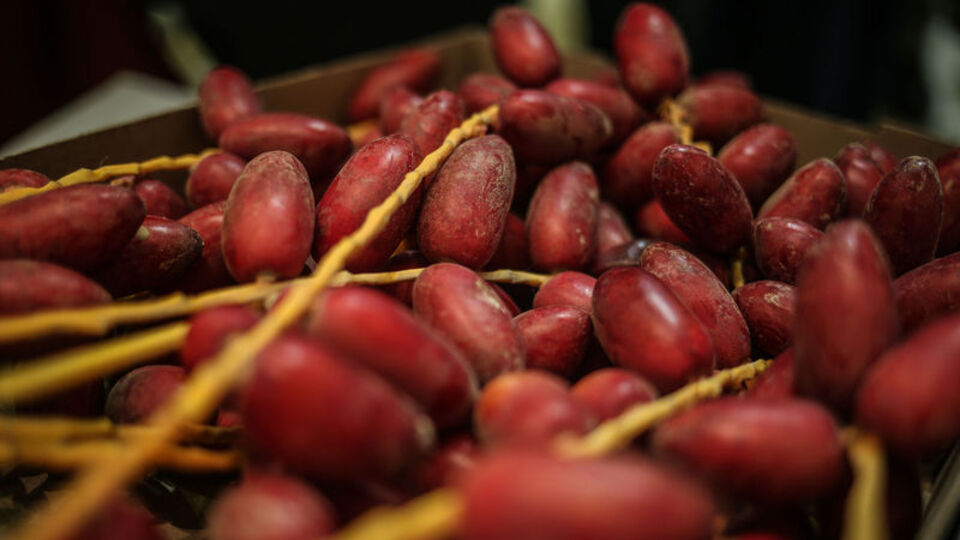 "Dolar kurundaki hareketlilik sebebiyle bu yıl yüzde 8-10 oranında arttı"