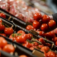 Maalesef salça olacak