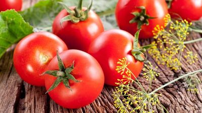 Domates üretimi ve ihracatında neler oluyor?