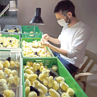 Ayda 32 bin TL maaşlı 2 Türk seksör!