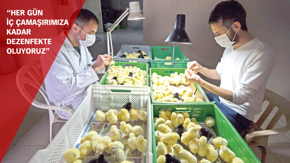 Ayda 32 bin TL maaşlı 2 Türk seksör!