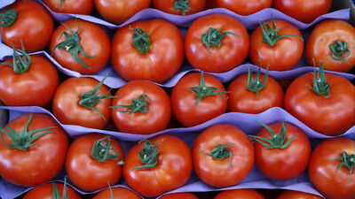 Fiyatı 30 kuruşa kadar düştü