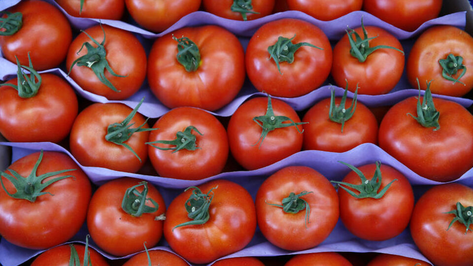 Fiyatı 30 kuruşa kadar düştü