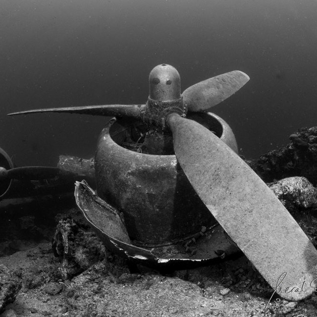 Sea Garden Resort dalış meraklılarını bekliyor