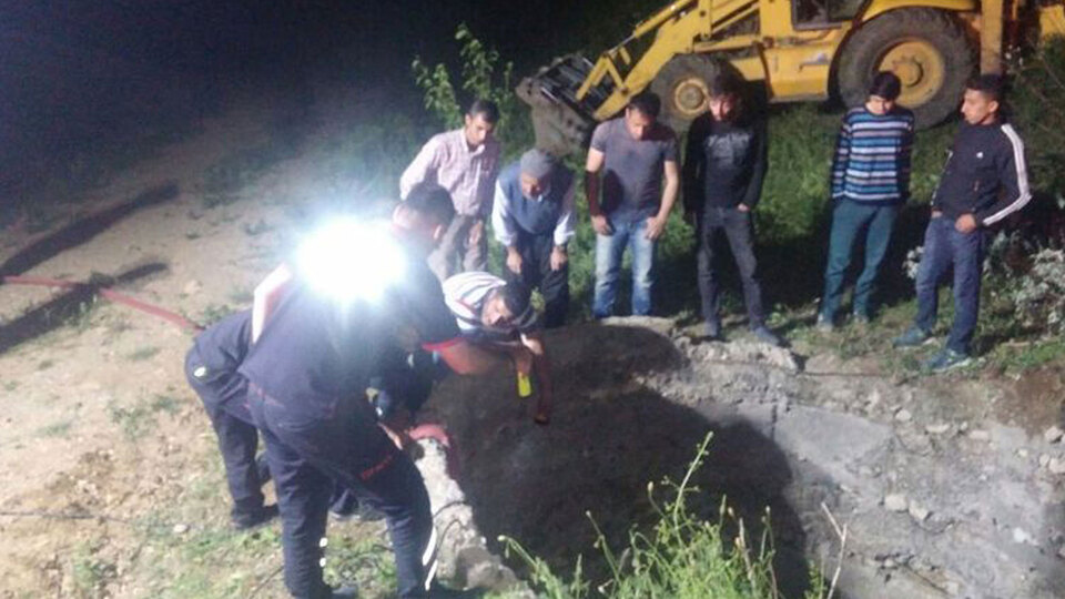 Kuyuya düşen inek kurtarıldı