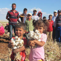 Binlerce kişi ekmeğini buradan çıkarıyor