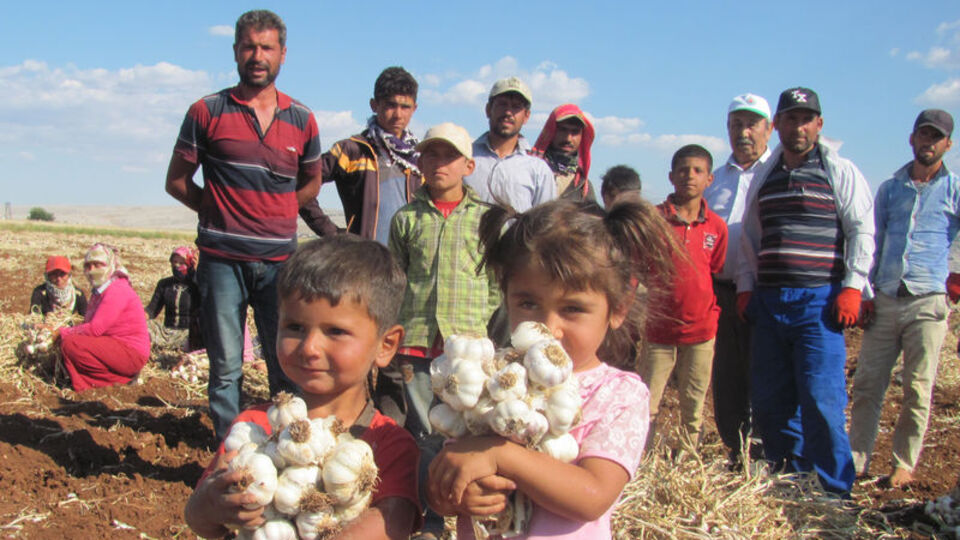 Binlerce kişi ekmeğini buradan çıkarıyor